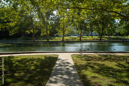 lake in the park