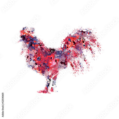 Rooster vector illustrationdigital art wall art shirt print photo