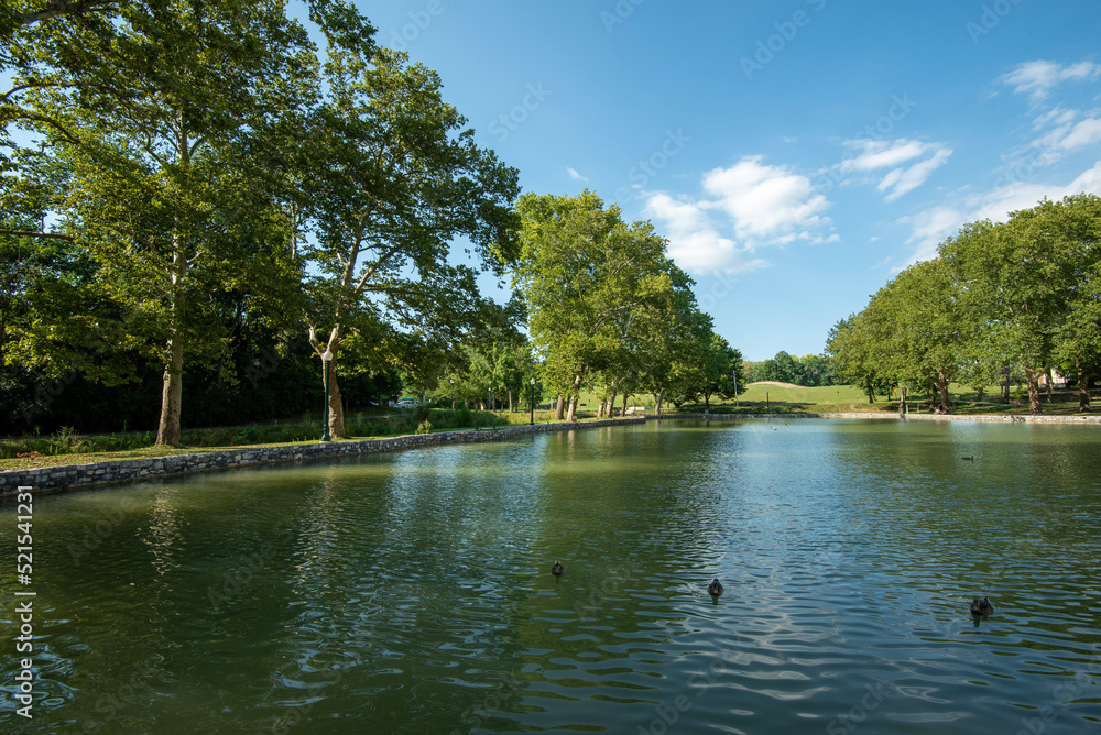 Fototapeta premium lake in the park