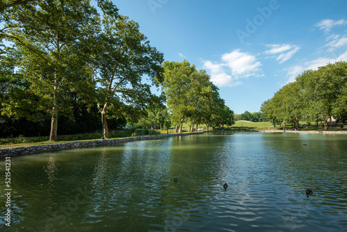 lake in the park