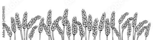 Wheat ear sketch border background. Agricultural card, flour production. Cereals ripe spike wheat frame horizontal pattern. Design template farm elements, organic bread, beer packaging label