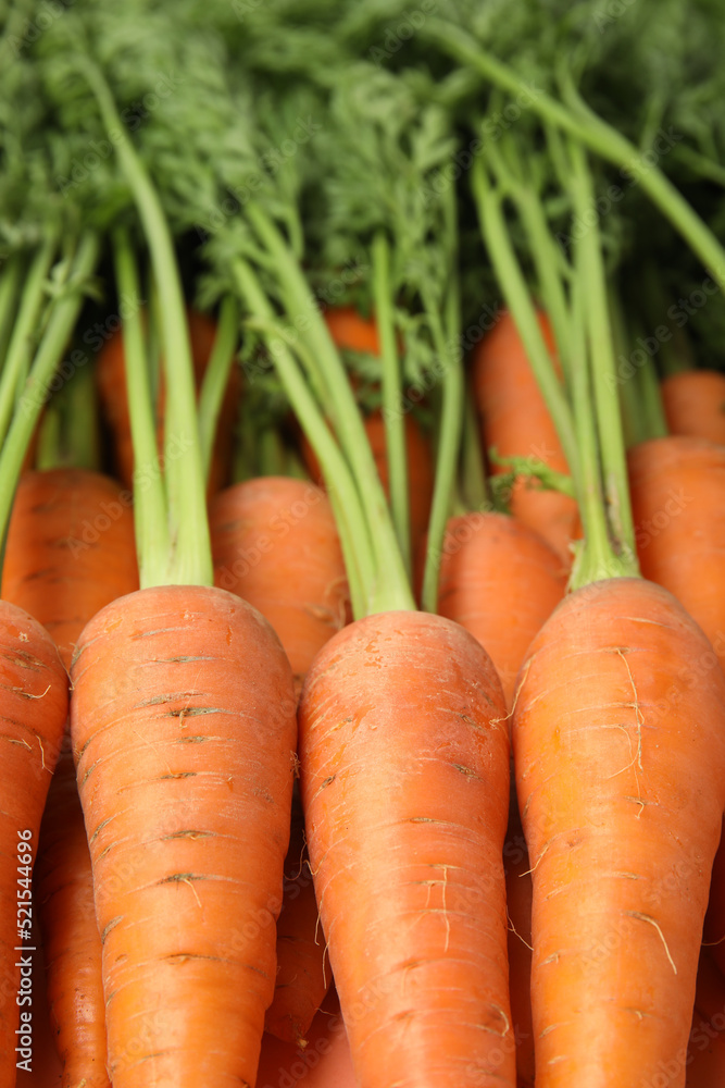 Fresh ripe carrots as background, closeup view Fresh ripe carrots as background, closeup view