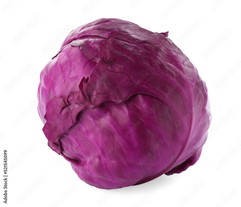 Fototapeta premium One fresh ripe red cabbage isolated on white
