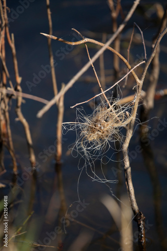 Tangled Fishing Line