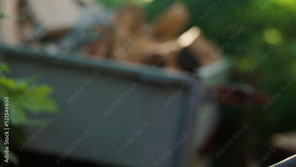 Close-up of axe hitting large piece of birch wood, shallow DOF Close-up of axe hitting large piece of birch wood, shallow DOF