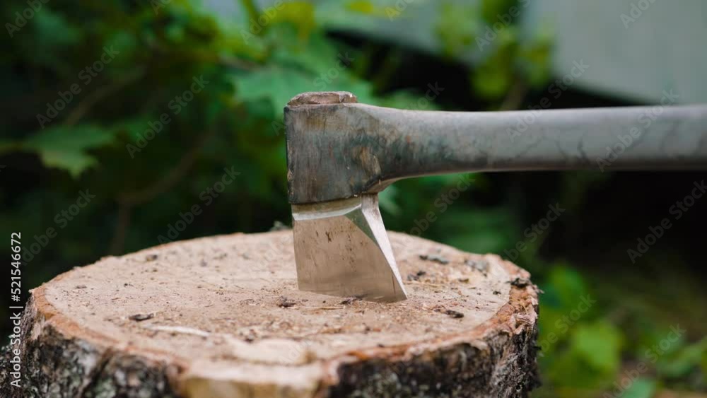 Close side view of axe being put into stump of wood, handheld slomo
