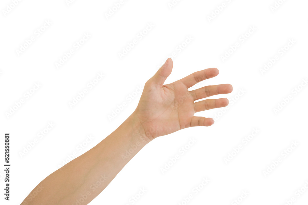 Young man hand isolated on white background included clipping path. Young man hand isolated on white background included clipping path.