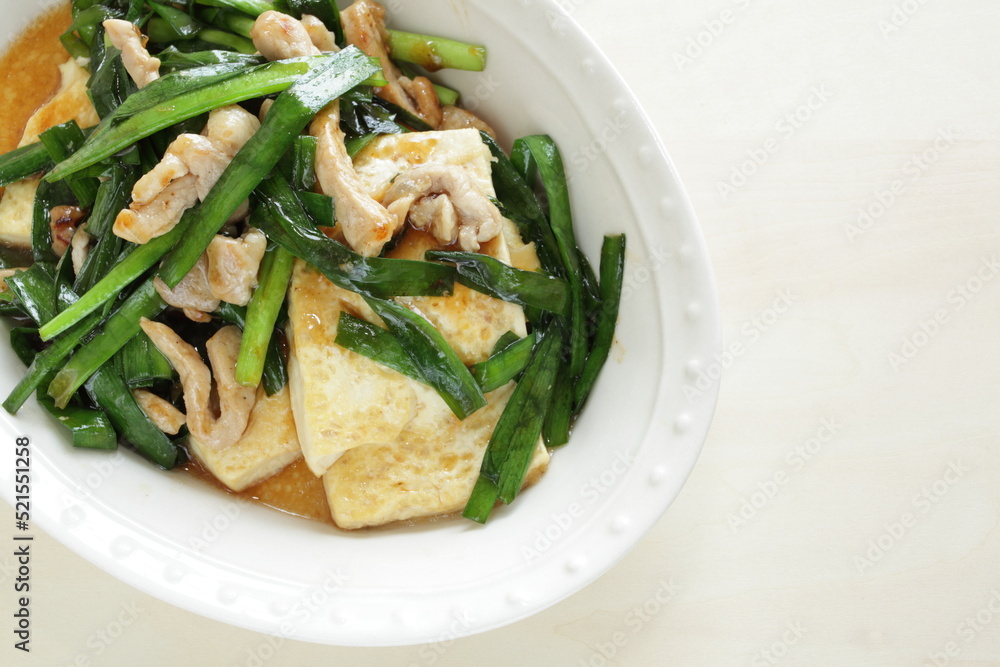 Chinsese food, pork and leek simmered braised with Tofu Chinsese food, pork and leek simmered braised with Tofu
