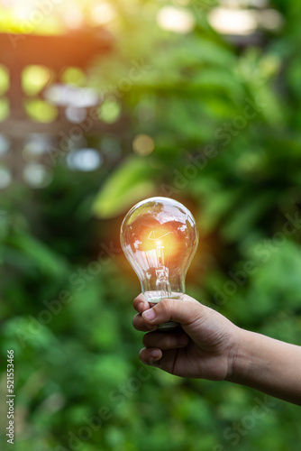 Light bulbs that grow, in the concept of energy in nature.