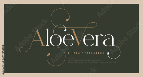 Luxury wedding alphabet letters font and number. Typography elegant classic lettering serif fonts decorative vintage retro with tails concept. vector illustration photo