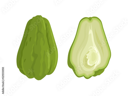 Vector illustration of whole and half chayote, scientific name Sechium edule, isolated on white background.