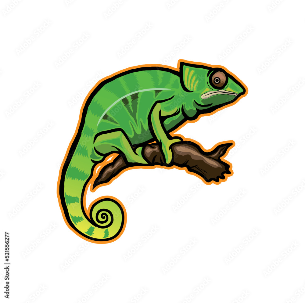 Fototapeta premium chameleon vector 
