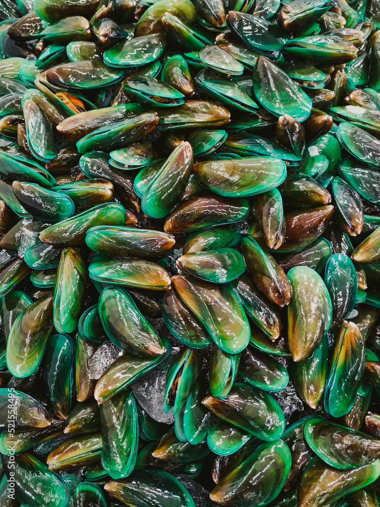 Fresh cockles. Seafood background or fresh green clams on a stall in a Indonesia local market.