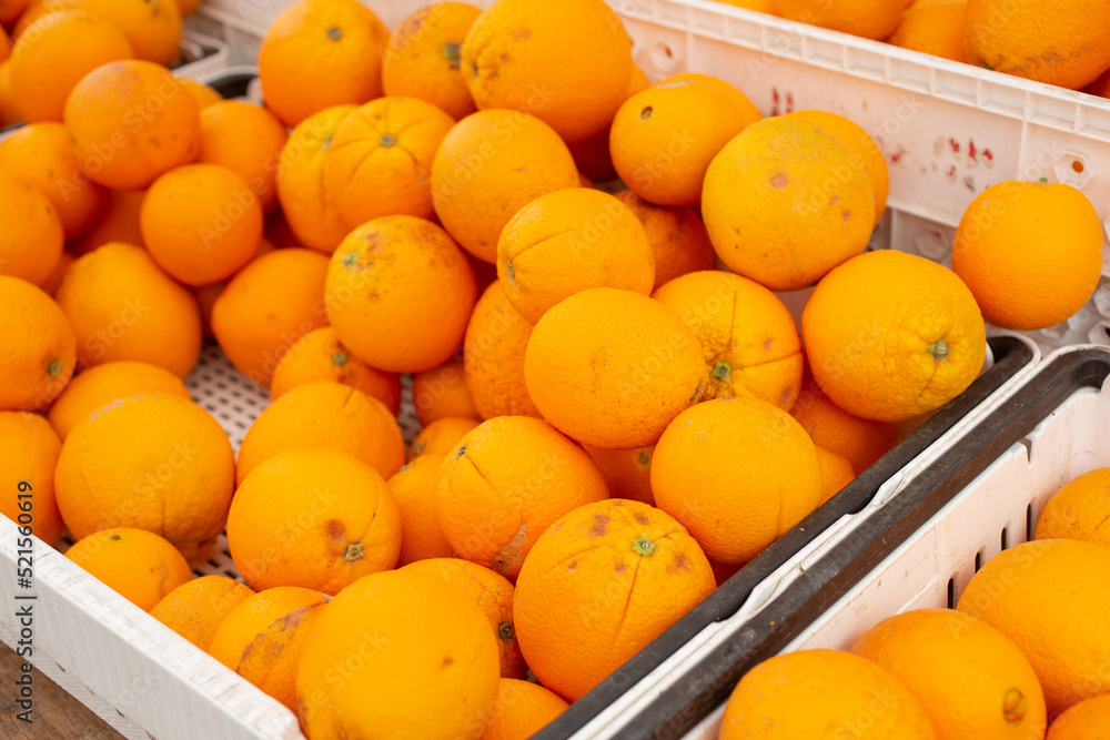 A view of a several crates full of oranges, on display at a local farmers market.