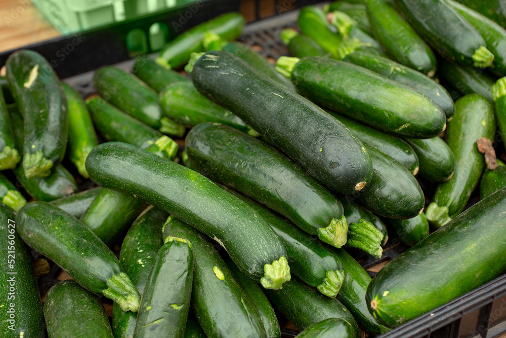 A view of a large pile of zucchini, on display at a local farmers market. A view of a large pile of zucchini, on display at a local farmers market.