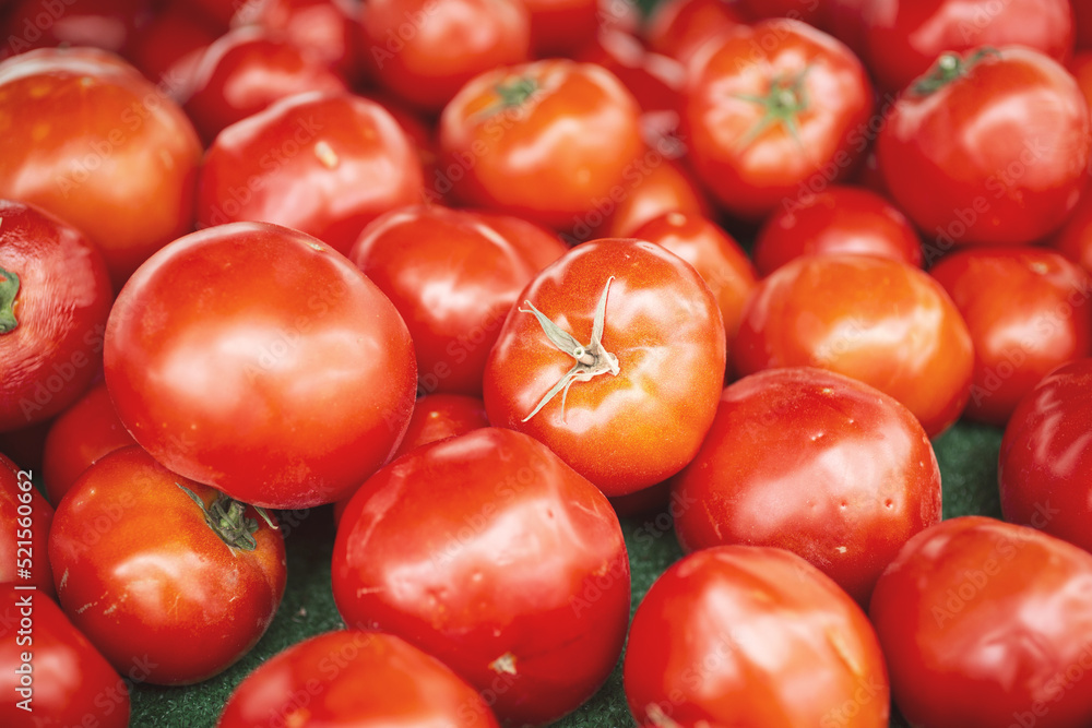 A view of a table full of big red tomatoes, on display at a local farmers market.