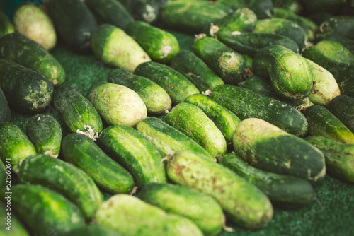 A view of a table full of pickling cucumbers  on display at a local farmers market.