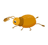 Cute smiling beatle isolated on white background. Funny insect for children. Flat cartoon vector illustration