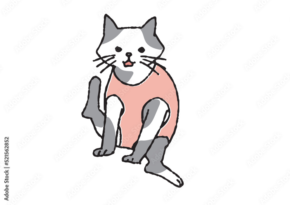 お腹の傷舐め防止にマタニティウエアを着ている猫　コミカルな手書きの動物　ベクター、温かみのある線画