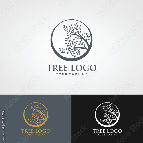Abstract vibrant tree logo design, root vector - Tree of life logo design inspiration isolated on white background.