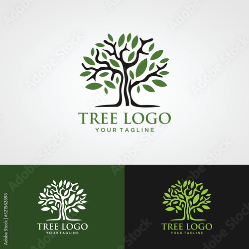 Abstract vibrant tree logo design, root vector - Tree of life logo design inspiration isolated on white background.