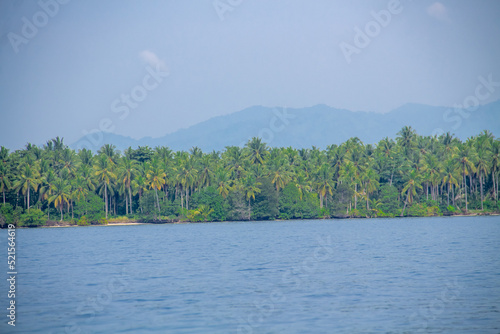 Island background filled with green trees with blue sea water