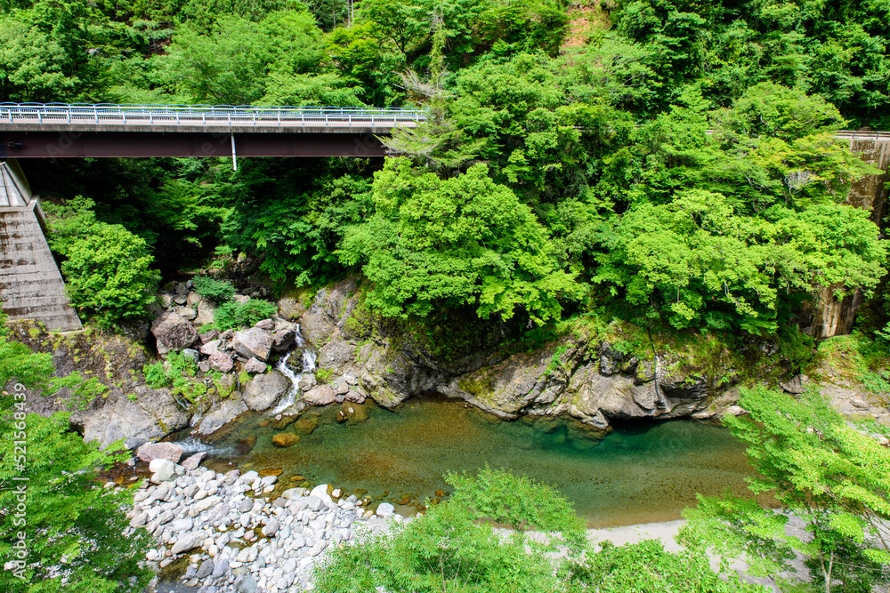 Fototapeta premium 徳島県は坂州木頭川を四季美谷温泉から見る