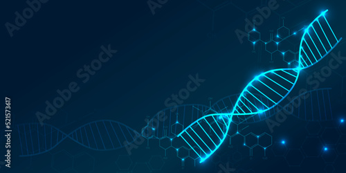 DNA. Abstract 3d polygonal wireframe DNA molecule helix spiral on blue. Medical science, genetic biotechnology, chemistry biology