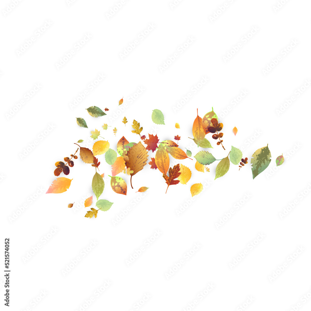 Leaves Falling Autumn Foliage Chaotic Leaf Flying Leaves Falling Autumn Foliage Chaotic Leaf Flying