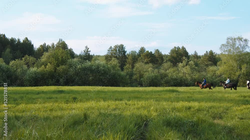 In the frame, three people are riding horses along the forest through a large meadow dotted with grass. The camera is in the shade of trees. The horses walk confidently. The weather is sunny, a light In the frame, three people are riding horses along the forest through a large meadow dotted with grass. The camera is in the shade of trees. The horses walk confidently. The weather is sunny, a light