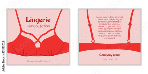 Female underwear. Bra lingerie. Woman clothes for flyer. Textile panties. Pink swimwear. Sexy bikini. Underpants boutique poster design. Brassiere front and back view. Vector store banner