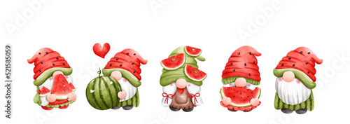 Summer gnome, Hello Summer vector illustration