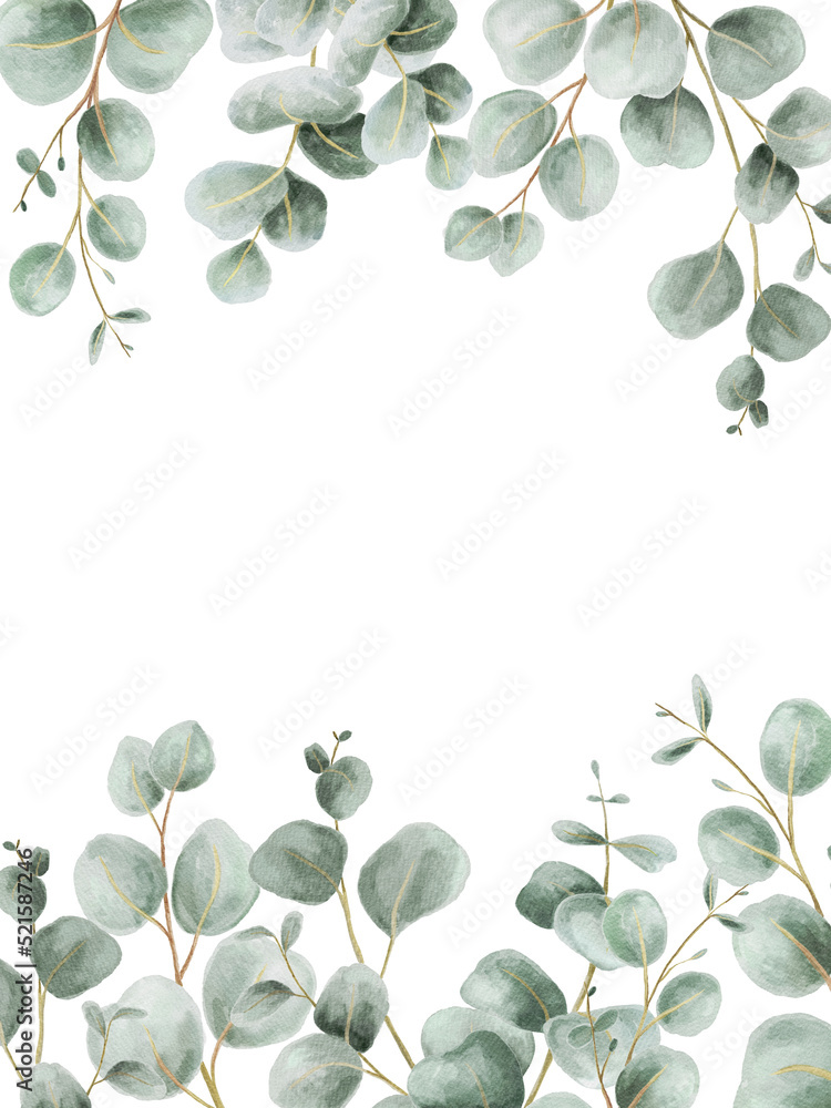 Green leaves eucalyptus border frame, greenery arrangement Green leaves eucalyptus border frame, greenery arrangement