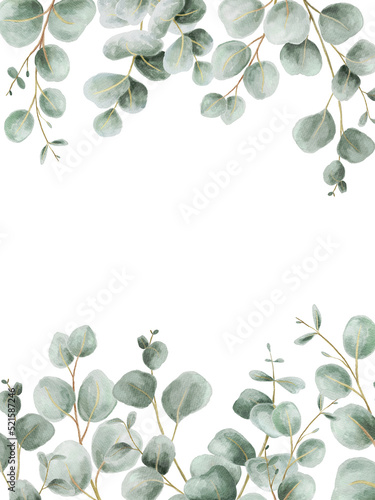 Green leaves eucalyptus border frame, greenery arrangement