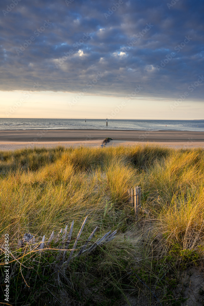 Paysage plage 497 Paysage plage 497