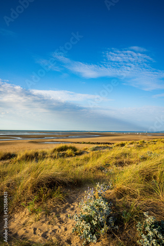 Paysage plage 480