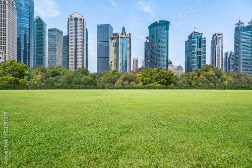 green lawn with city skyline background, shanghai china © hallojulie