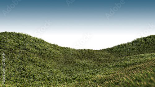 A 3d rendering image of grassed hill nature scenery