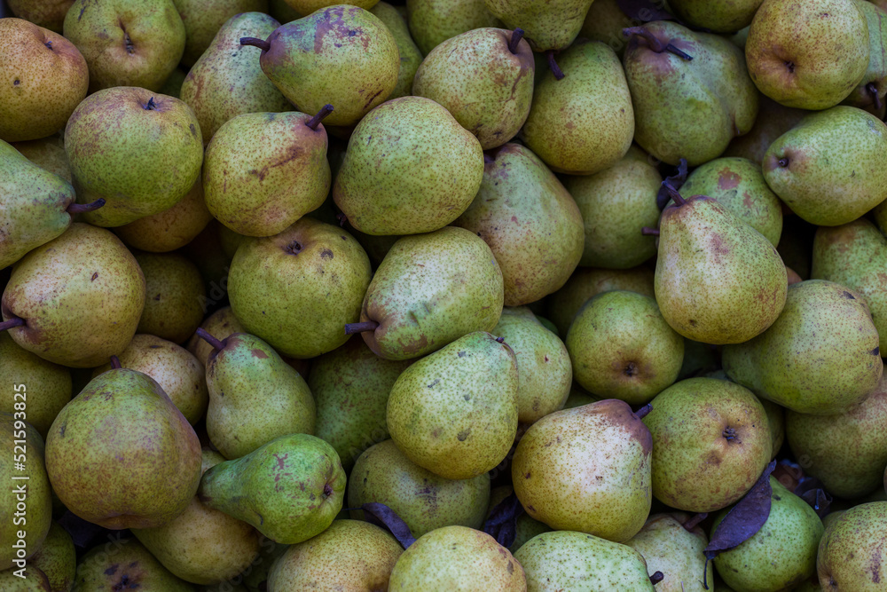 Full frame of Bartlett Pears. Fresh pears ready for sale Full frame of Bartlett Pears. Fresh pears ready for sale