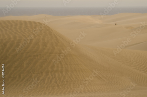 View of the Maspalomas Dunes. Special Natural Reserve of the Maspalomas Dunes. San Bartolome de Tirajana. Gran Canaria. Canary Islands. Spain.