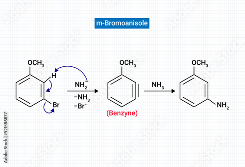 m-Bromoanisole gives only the respective meta substitued aniline photo