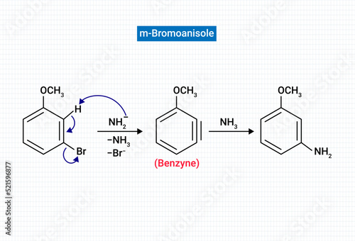 m-Bromoanisole gives only the respective meta substitued aniline