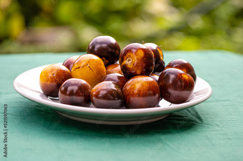 Obraz premium fresh cherry tomatoes of different varieties on a plate on the blurred background, closeup