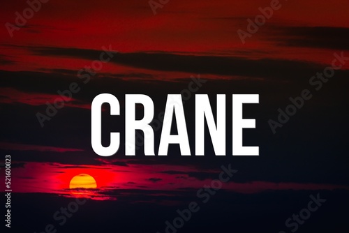 CRANE - word on the background of the sky with clouds.