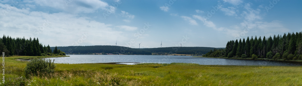 Fototapeta premium Dénature