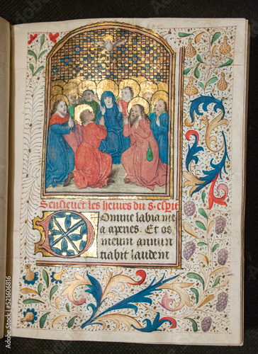 Book of Hours, Use of Therouanne, in Latin and French c.1470s. Painted and written on vellum with twelve full page illuminations.  From Hainult in the south of France and made for a lady of wealth. 
