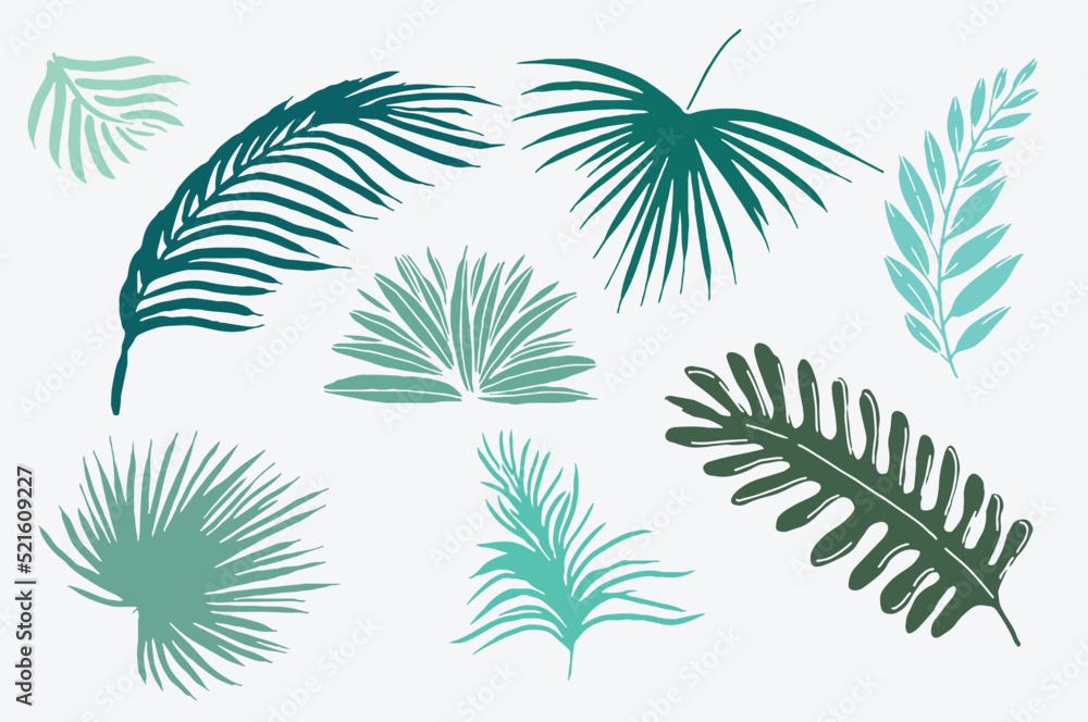 8 leaf tropical hand style. File Eps 8. Vector Illustration