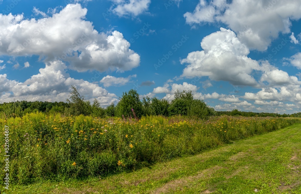 July sky with cumulus clouds July sky with cumulus clouds
