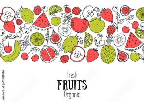 Fruits collection. Hand drawn vector illustration. Minimalist design. Scandinavian style illustration. Healthy organic food sketch.