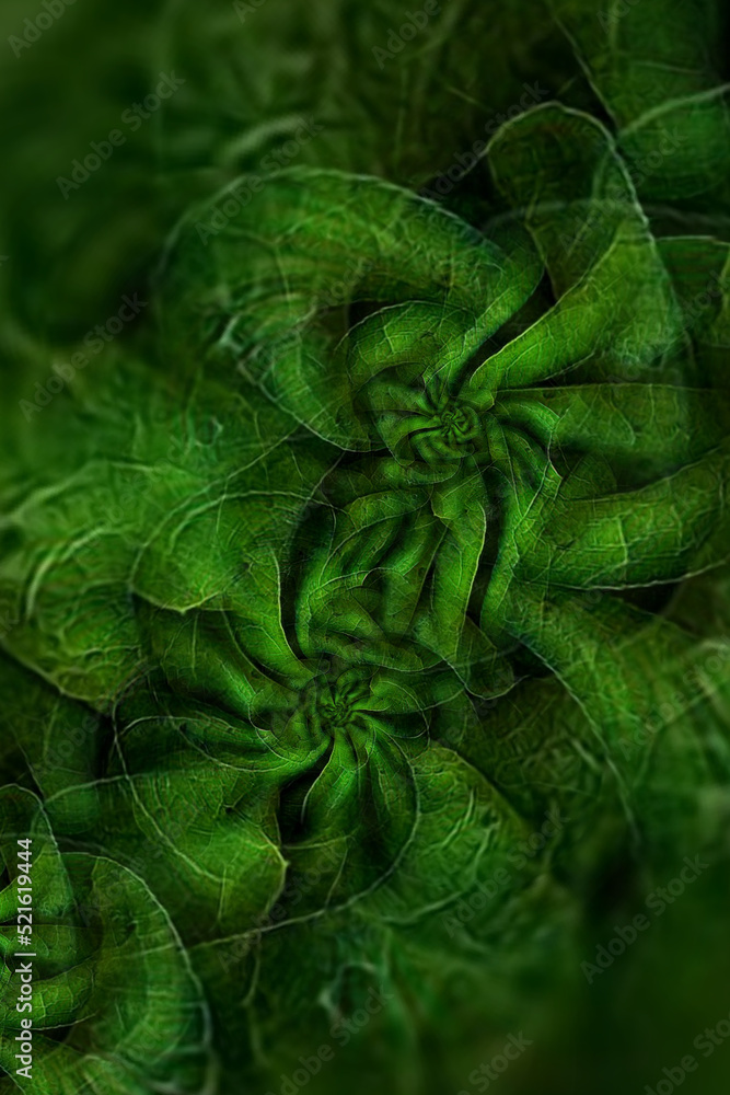 lush foliage spiral pattern and design as creative image in shades of green lush foliage spiral pattern and design as creative image in shades of green